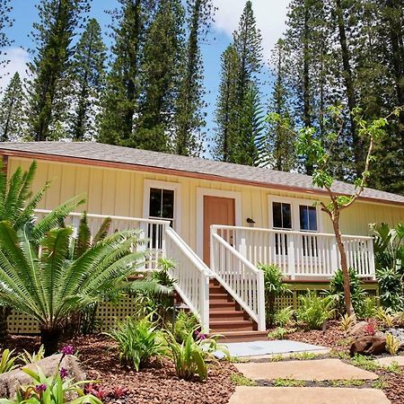 Hotel Lanai ลานายซิตี้ ภายนอก รูปภาพ