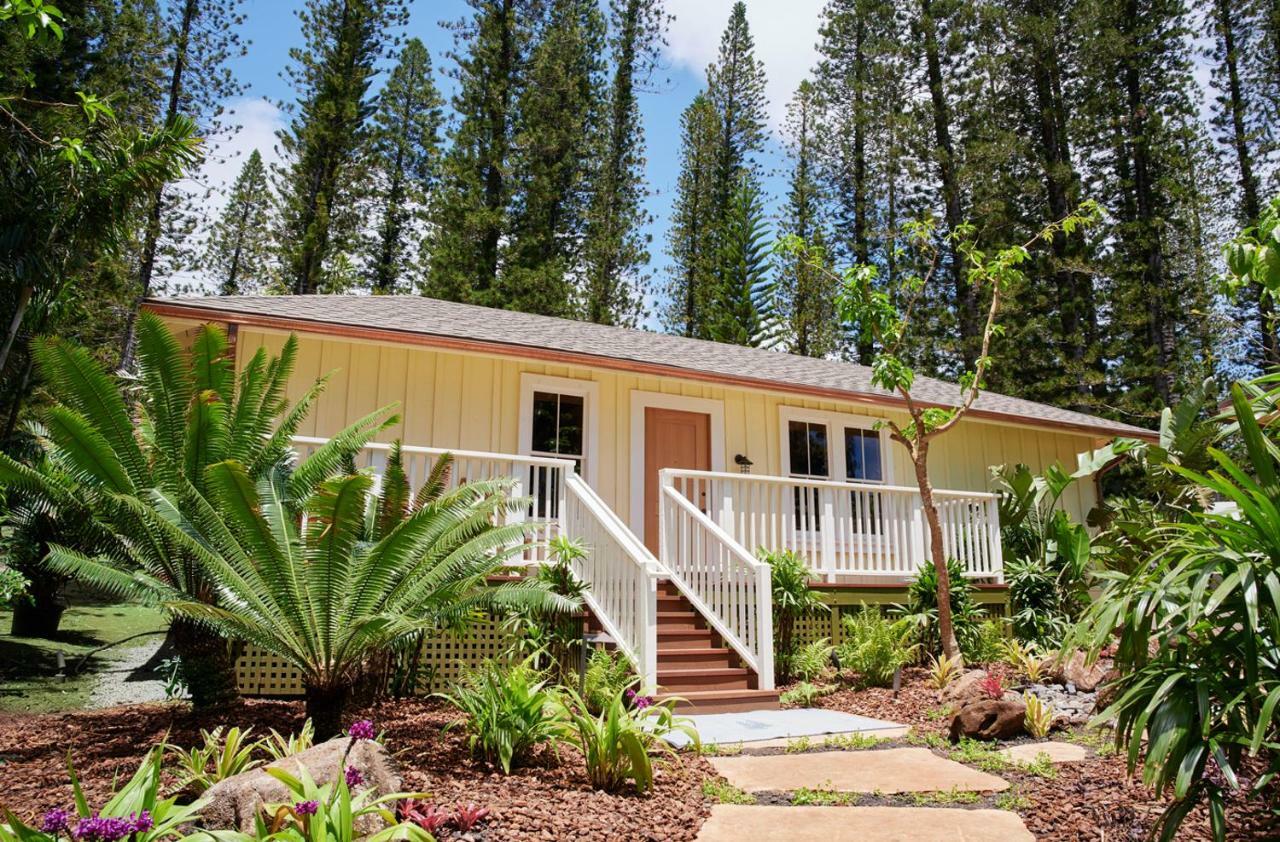 Hotel Lanai ลานายซิตี้ ภายนอก รูปภาพ